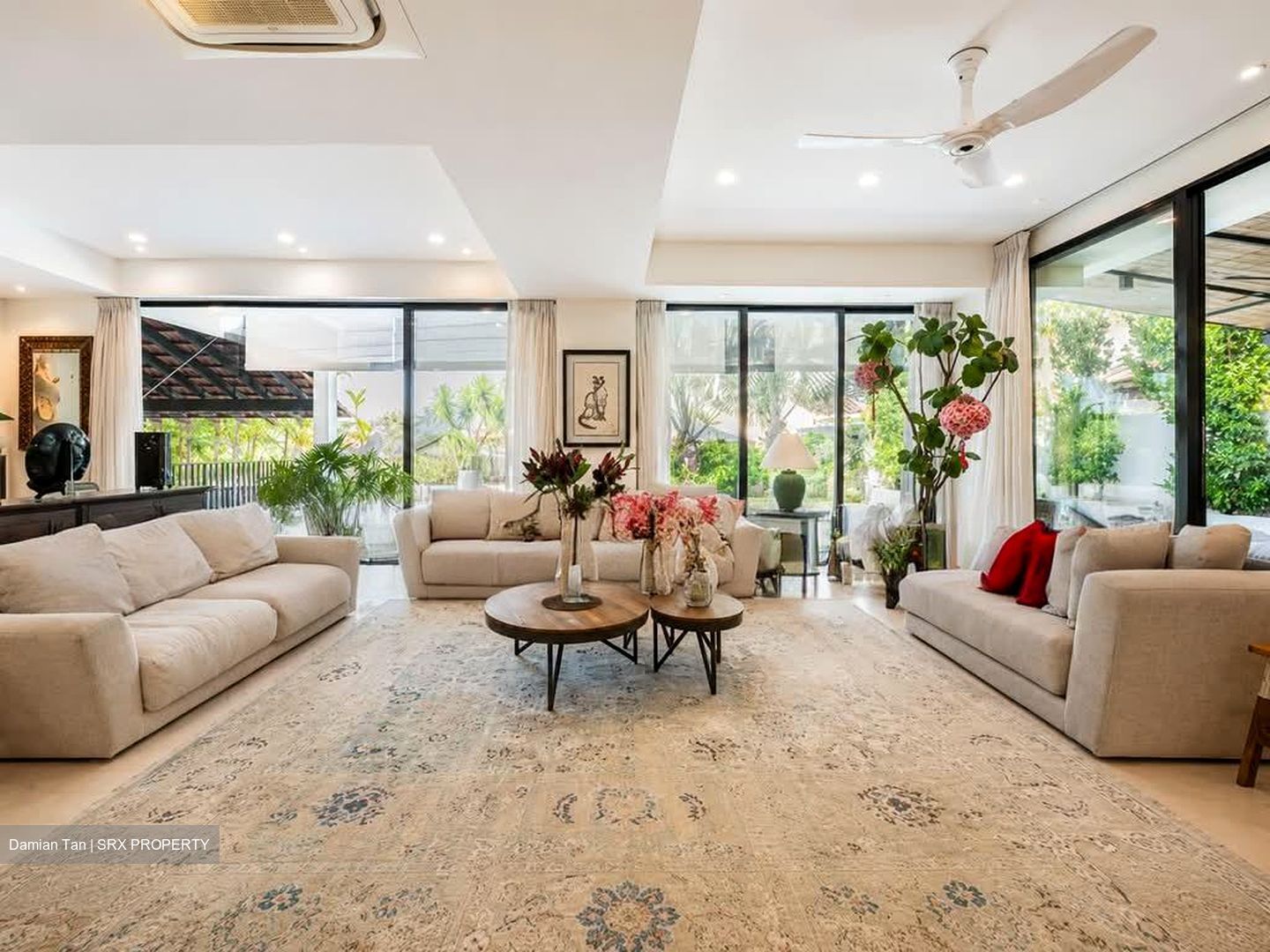 Shamrock Park (D10), Detached #565598571